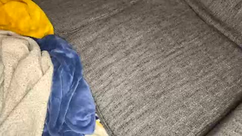 gingerrslut online show from March 13, 8:54 am