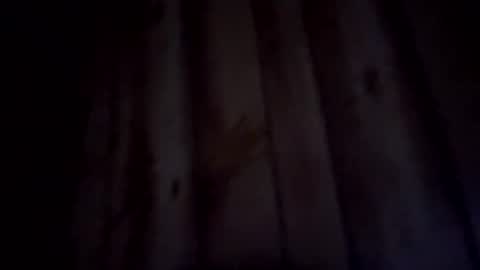 gingertits98 online show from June 28, 2:06 am
