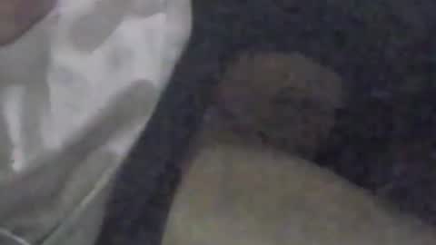 lovegirlscallme online show from September 9, 3:33 pm