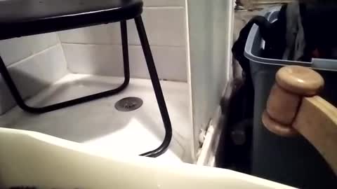 lovegirlscallme online show from December 1, 7:30 pm