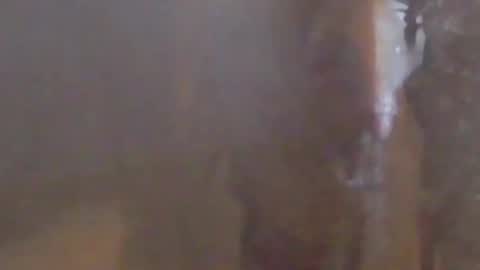 lovegirlscallme online show from March 7, 10:40 pm