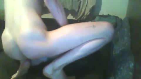 girthdoctor online show from December 3, 1:02 am