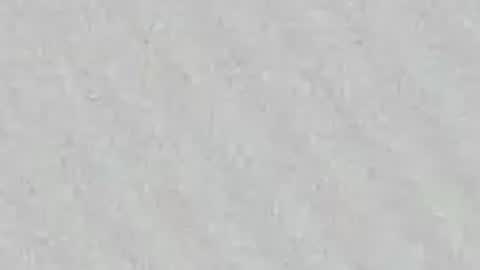 Gissy online show from April 23, 11:53 am