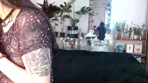 Nice to meet you my name is Heyli  online show from December 2, 2:31 am