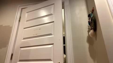 Snapshot of glegere18 chatting on October 24, 3:14 am Lets get wierd online show from October 24, 3:14 am