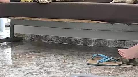 Snapshot of goddesshannahfeet_ chatting on April 13, 4:45 pm goddesshannahfeet_ online show from April 13, 4:45 pm