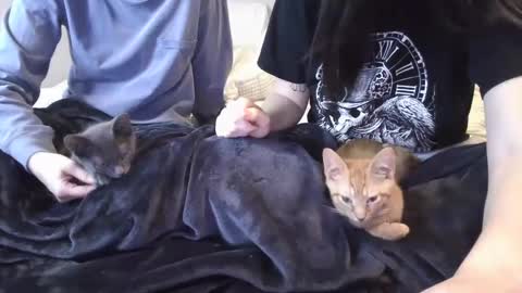 Snapshot of goddessshadowraven chatting on December 6, 11:47 pm Goddess Raven online show from December 6, 11:47 pm