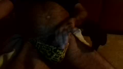 Snapshot of gojo885 chatting on January 13, 3:23 am gojo885 online show from January 13, 3:23 am