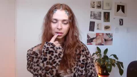 Alaska online show from December 2, 1:17 pm