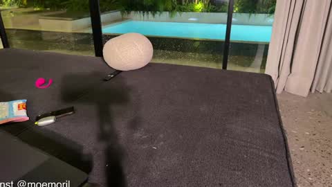 Aline meow   online show from February 22, 2:04 pm