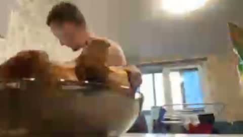 Golden boyyy21 online show from January 25, 11:55 am