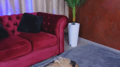 GoldenAmberX online show from January 29, 5:19 am