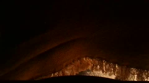 Serg online show from April 3, 10:13 am