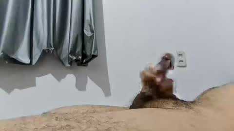 Good boy online show from December 19, 1:23 am