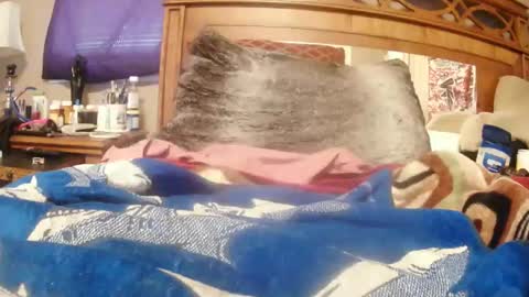 Snapshot of goodbootaye chatting on February 23, 2:46 pm Juicy Booty online show from February 23, 2:46 pm