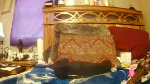 Snapshot of goodbootaye chatting on February 27, 6:42 pm Juicy Booty online show from February 27, 6:42 pm