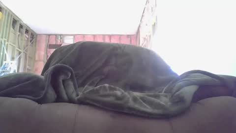 Snapshot of goodcock12345 chatting on December 3, 8:28 pm goodcock12345 online show from December 3, 8:28 pm