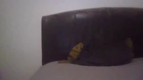 Snapshot of goodcock12345 chatting on February 19, 6:55 am goodcock12345 online show from February 19, 6:55 am