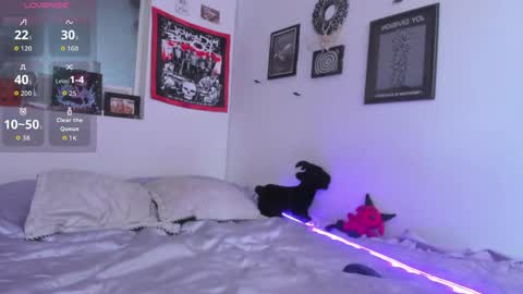 Snapshot of gothic_do11 chatting on May 15, 5:31 pm hi my name is Elizabeth nice to meet you online show from May 15, 5:31 pm