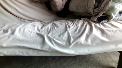 watch me stroke online show from April 12, 12:43 pm