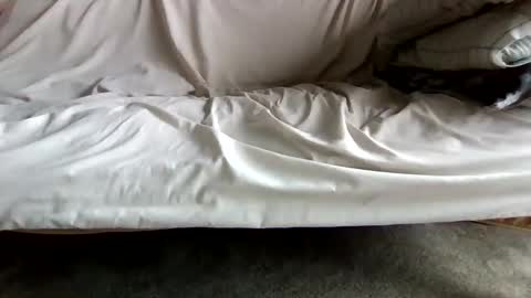 watch me stroke online show from April 26, 12:14 pm