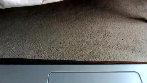 Snapshot of gowiththeflow37 chatting on May 3, 8:37 pm watch me stroke online show from May 3, 8:37 pm