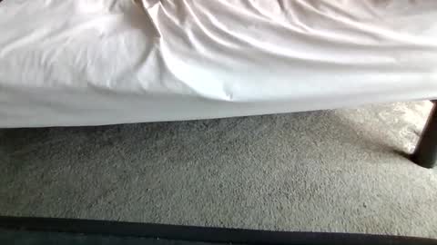 Snapshot of gowiththeflow37 chatting on May 20, 2:56 pm watch me stroke online show from May 20, 2:56 pm