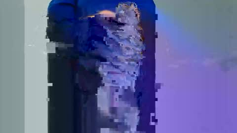 Snapshot of graben78 chatting on November 30, 1:59 pm Longwood online show from November 30, 1:59 pm