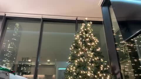 Gracie Mae online show from December 3, 11:36 pm