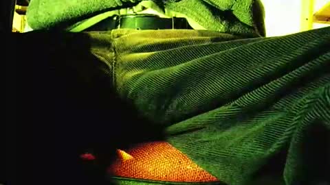 grapefruit online show from November 12, 9:21 am