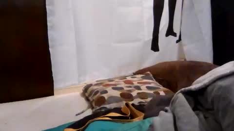 Get US to 1000 you wont be disapointed online show from December 18, 3:23 am