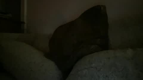 Snapshot of greenlova chatting on December 25, 2:35 am Sonny online show from December 25, 2:35 am