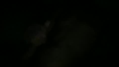 Snapshot of greenlova chatting on October 11, 10:25 am Sonny online show from October 11, 10:25 am