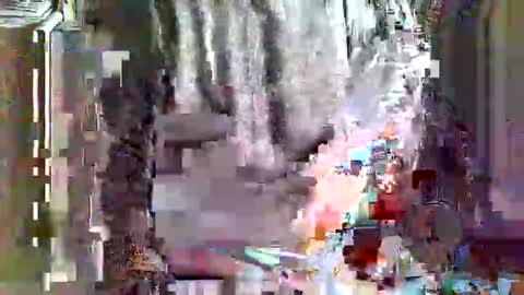 greyhounddog online show from April 4, 9:29 am