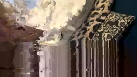 Snapshot of greymen2020 chatting on February 16, 6:04 pm greymen2020 online show from February 16, 6:04 pm