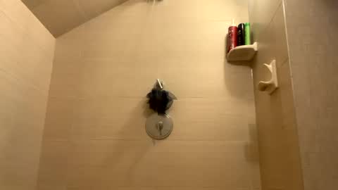 Snapshot of greyvan96 chatting on December 31, 1:30 pm Perfectlyaveragesavage online show from December 31, 1:30 pm