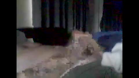 grittslappa online show from February 17, 1:24 am