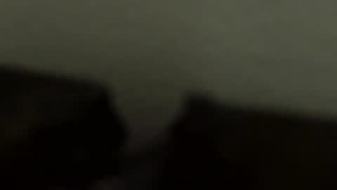 gronnn online show from January 18, 4:05 am