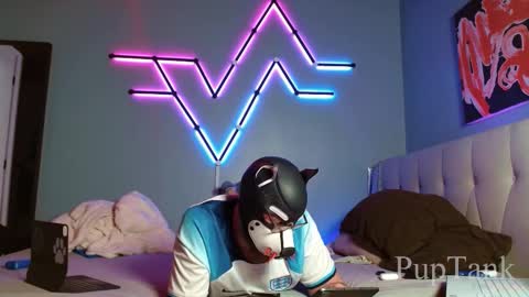 Alpha pup online show from October 22, 7:57 pm