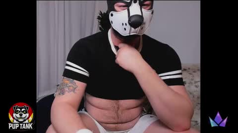 Alpha pup online show from December 15, 5:55 am