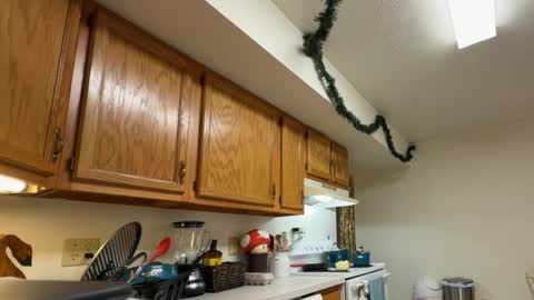 Snapshot of gucciboi4 chatting on November 23, 7:35 pm gucciboi4 online show from November 23, 7:35 pm