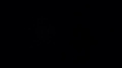 Gu online show from January 9, 2:07 pm