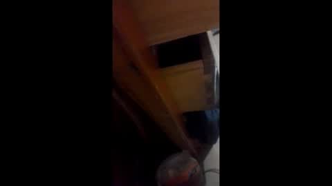guisoaaaa online show from May 23, 6:51 am