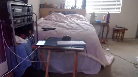 Mario online show from February 15, 9:00 pm