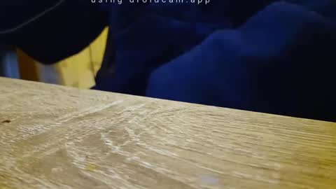 Snapshot of gullu8979 chatting on September 18, 10:56 pm Franky online show from September 18, 10:56 pm