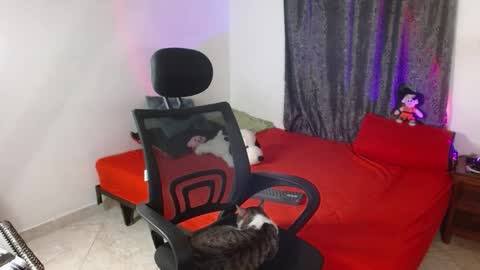 Guts online show from November 25, 7:03 pm