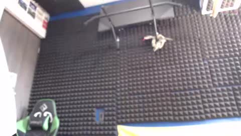 Gymbro42 online show from August 7, 5:37 pm