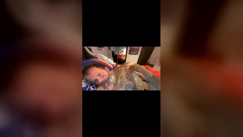 h20976 online show from March 22, 11:35 am