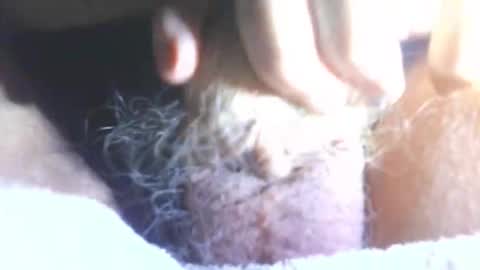 hagridthehorrible online show from January 11, 6:57 pm