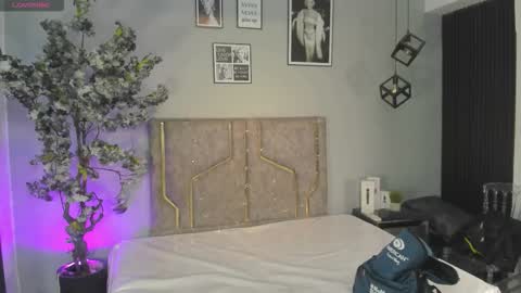 haileystonei online show from December 14, 11:37 am